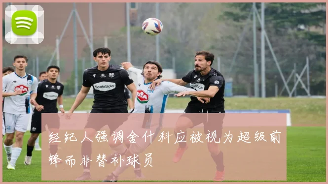 经纪人强调舍什科应被视为超级前锋而非替补球员