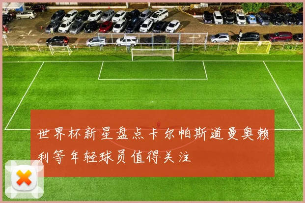 世界杯新星盘点卡尔帕斯道曼奥赖利等年轻球员值得关注