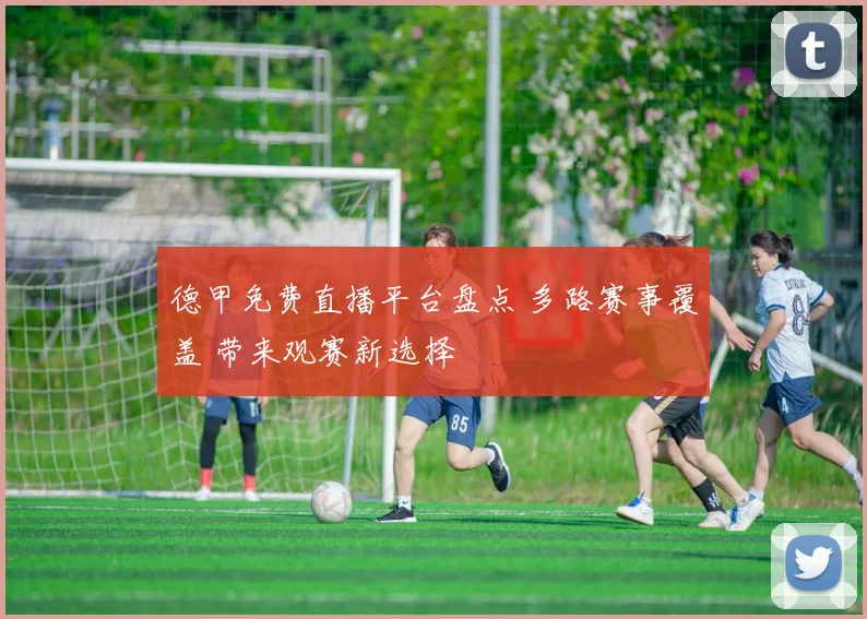 德甲免费直播平台盘点 多路赛事覆盖 带来观赛新选择