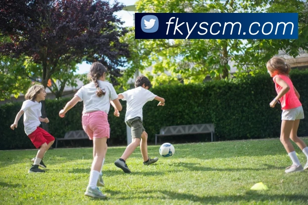 j9游会平台生态图